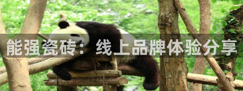 必一体育sport装机吧