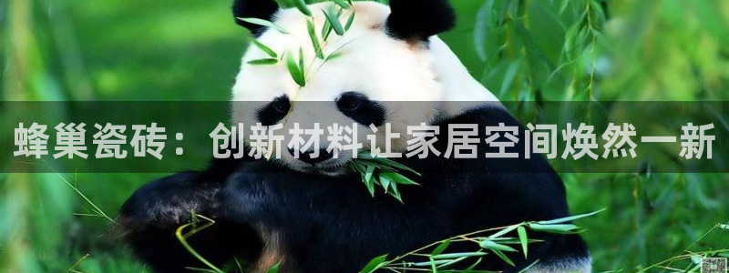 必一体育sport官网