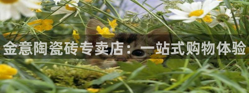 必一体育网页登陆