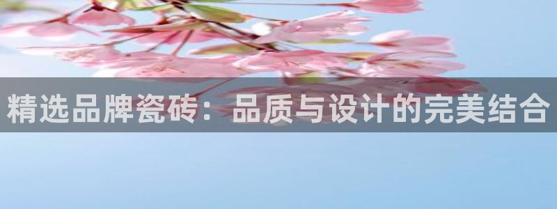 必一运动体育app