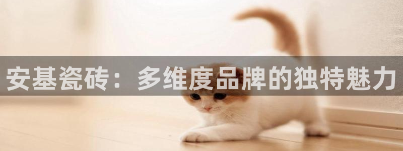 必一体育黑钱