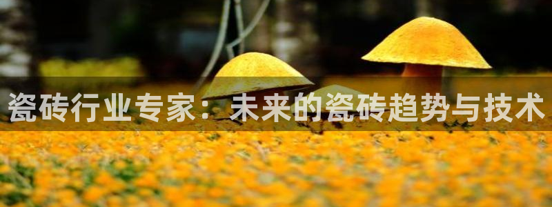 必一体育在线下载