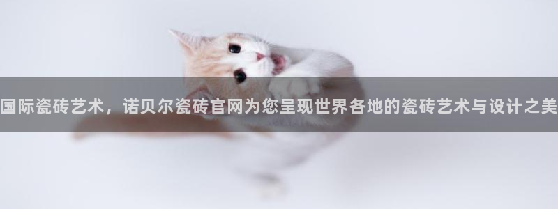 Bsport体育app必一