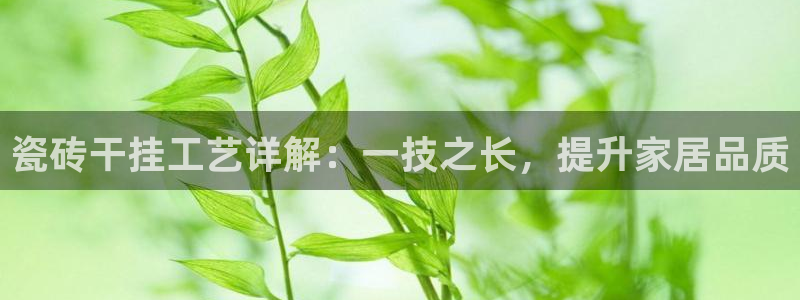 必一体育黑平台