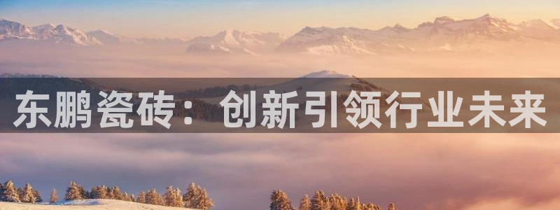 必一运动体育官网