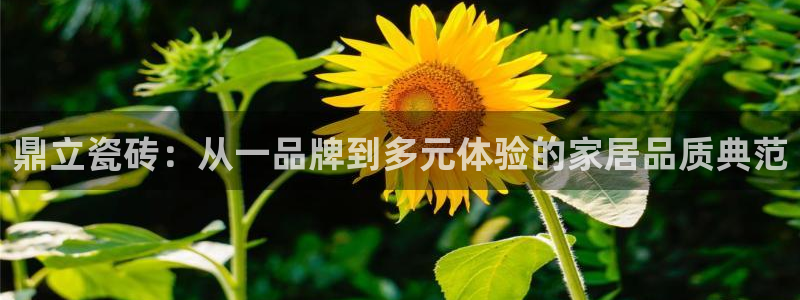 必一体育sport官网