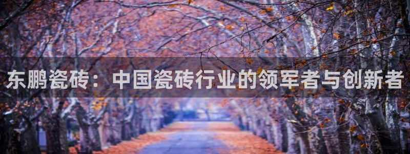 必一体育在线入口