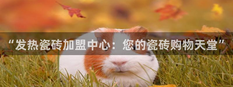 必一体育运动官网