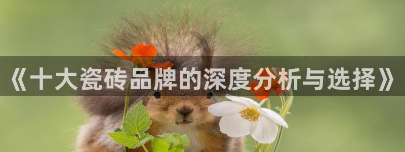 必一体育流水线是什么意思