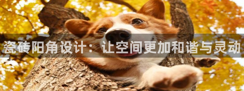 必一运动体育官网