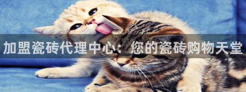 必一体育app下载