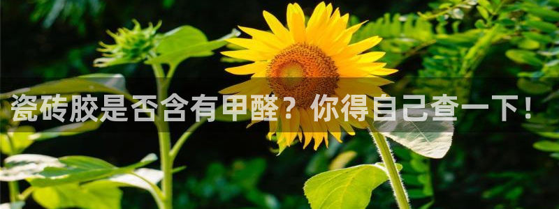 必一体育登录入口APP