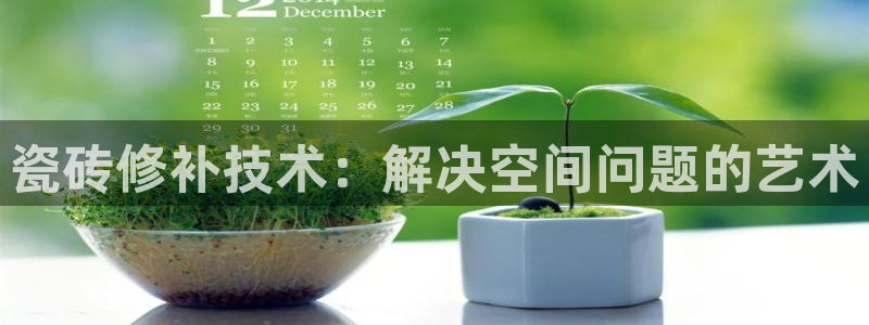 必一体育运动app