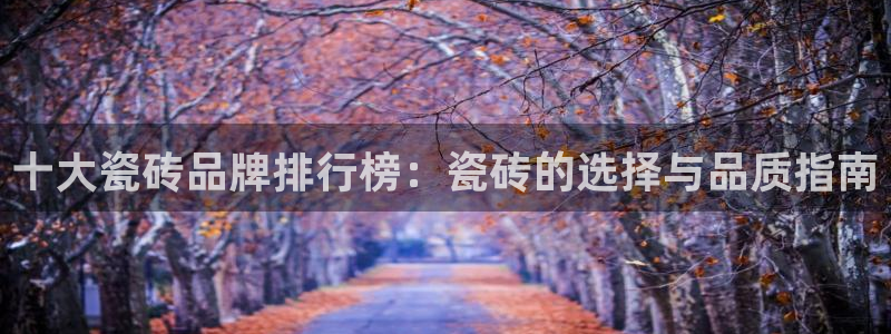 必一体育黑平台