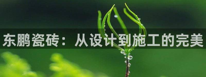 必一体育全站在线登录入口