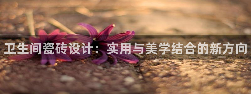 必一体育服下载最新版本更新内容