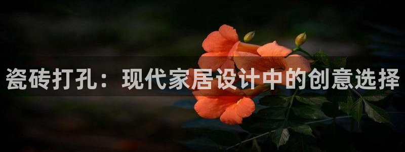 必一体育登录APP下载