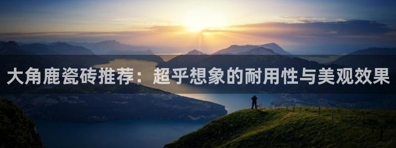 必一体育官方网站入口