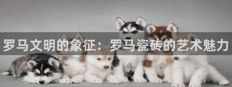 必一体育app下载安装