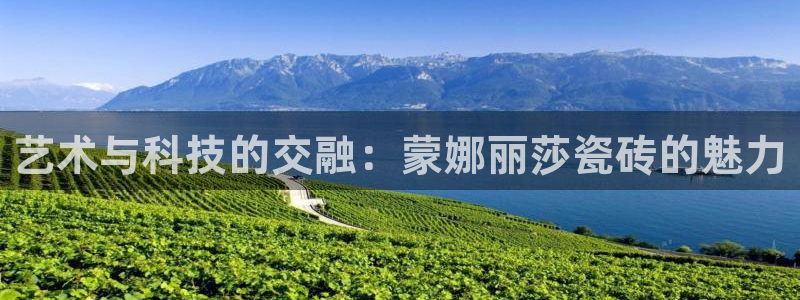 必一体育黑平台