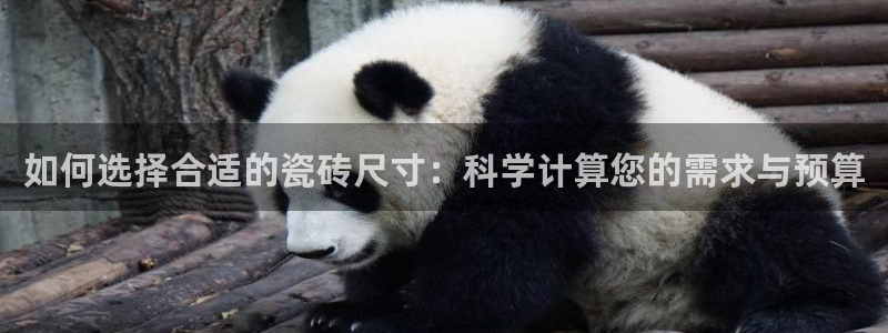 必一体育app官方下载