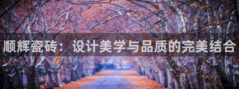 必一体育手机下载