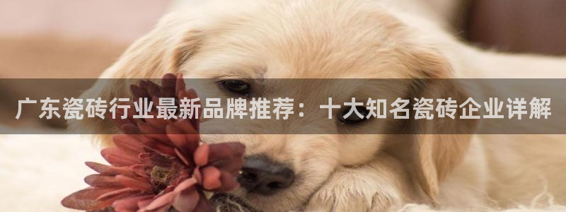 必一体育下载app