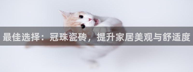 必一体育网页登录版官网