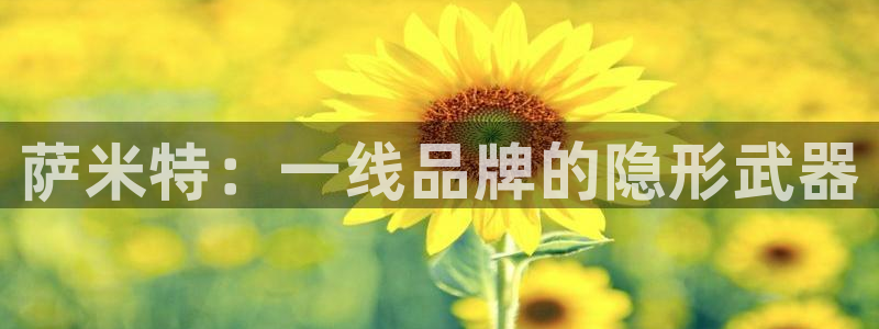 必一体育下载移动版