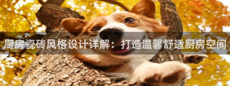 必一体育下载app下载