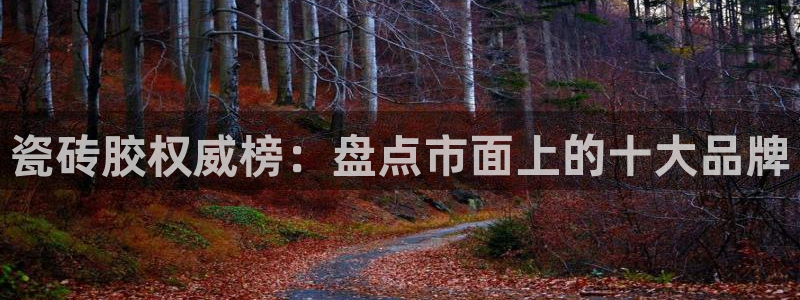 必一体育网页版登录